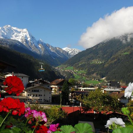 Haus Tasser Mayrhofen Exteriör bild